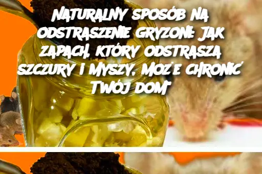 Naturalny sposób na odstraszenie gryzoni: Jak zapach, który odstrasza szczury i myszy, może chronić Twój dom”