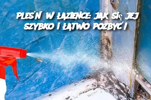 Pleśń w łazience: jak się jej szybko i łatwo pozbyć!