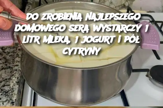 Do zrobienia najlepszego domowego sera wystarczy 1 litr mleka, 1 jogurt i pół cytryny