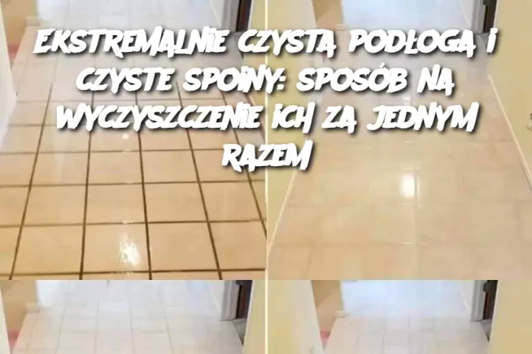 Ekstremalnie czysta podłoga i czyste spoiny: sposób na wyczyszczenie ich za jednym razem