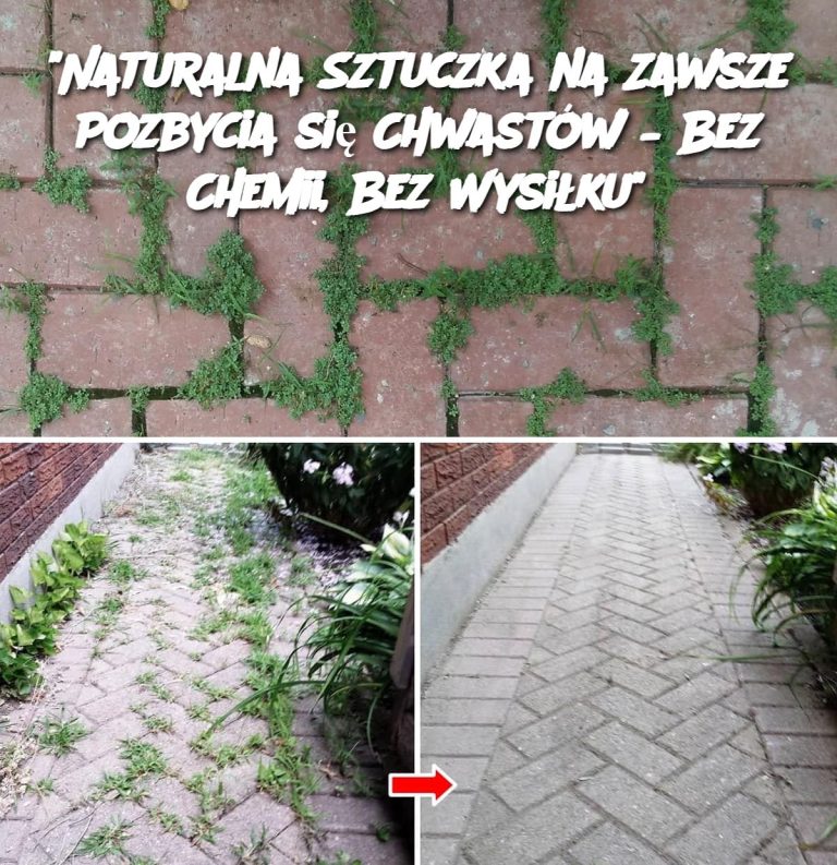 Naturalna Sztuczka na Zawsze Pozbycia się Chwastów – Bez Chemii, Bez Wysiłku