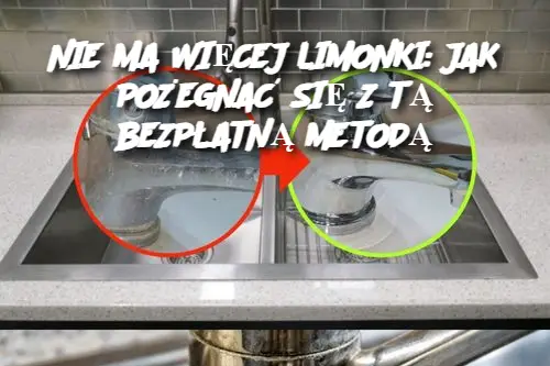 NIE MA WIĘCEJ LIMONKI: JAK POŻEGNAĆ SIĘ Z TĄ BEZPŁATNĄ METODĄ