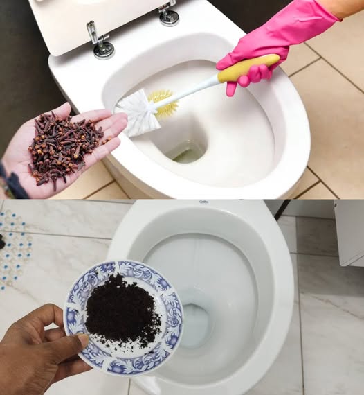 Cómo hacer que tu baño siempre huela bien. Ideal para que lo usen las visitas