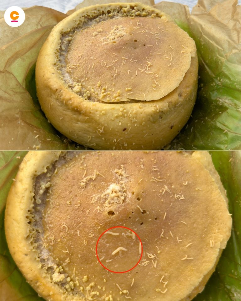 Czy Casu Marzu to najniebezpieczniejszy ser na świecie?