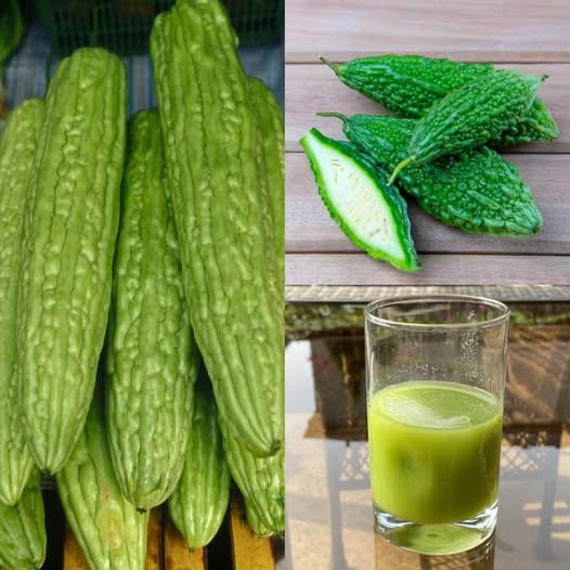 Do czego służy gorzki melon i dlaczego jest dobry dla Ciebie?